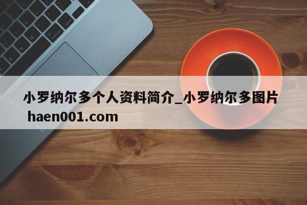 小罗纳尔多个人资料简介_小罗纳尔多图片  haen001.com