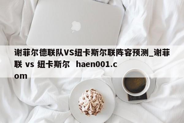 谢菲尔德联队VS纽卡斯尔联阵容预测_谢菲联 vs 纽卡斯尔  haen001.com